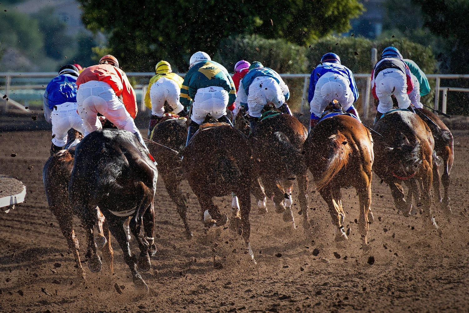 condylar fractures in horses with causes, symptoms, and role of horse joint supplement in recovery