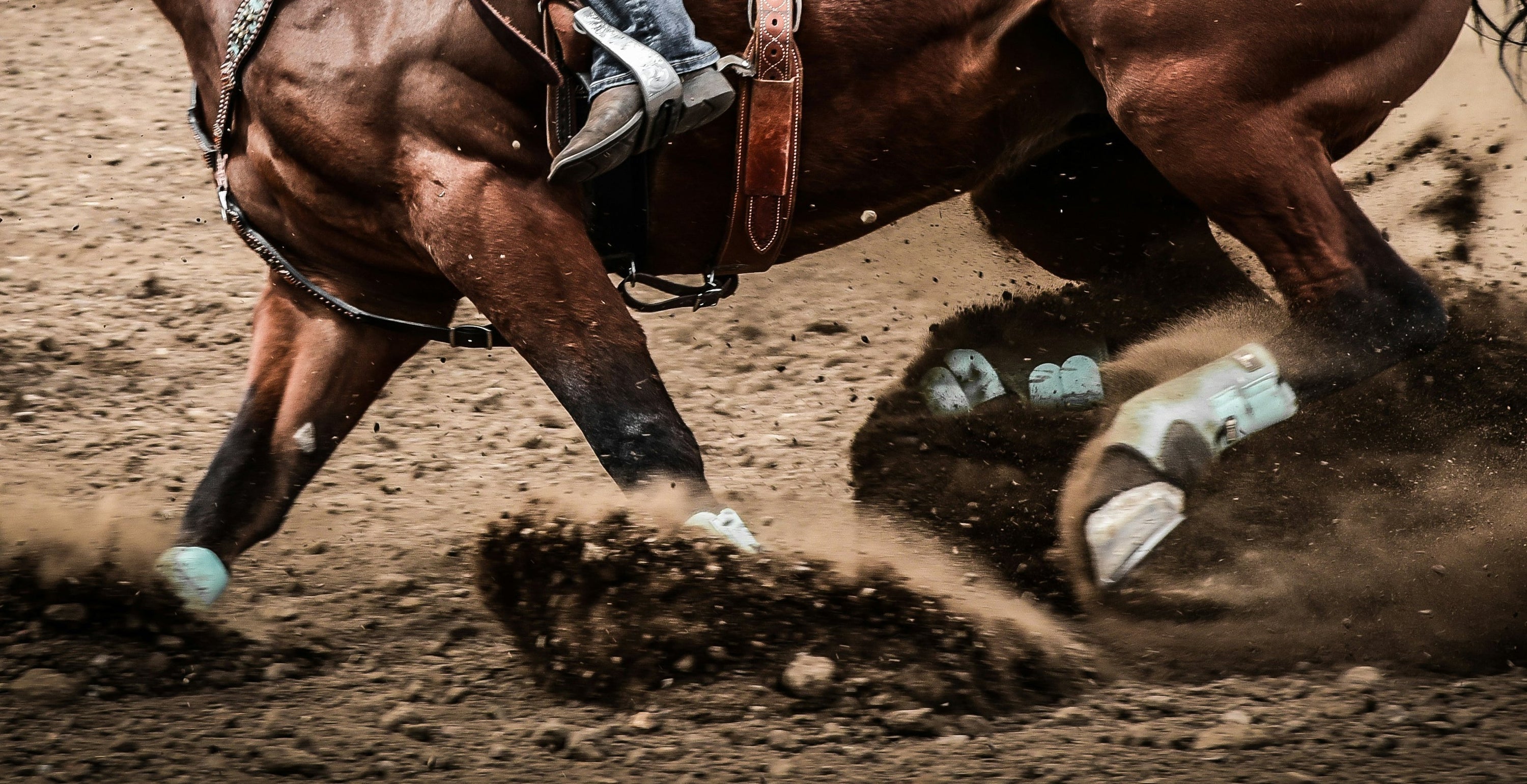 Soft tissue injury in horses explained with grades, signs of damage, and recovery management methods