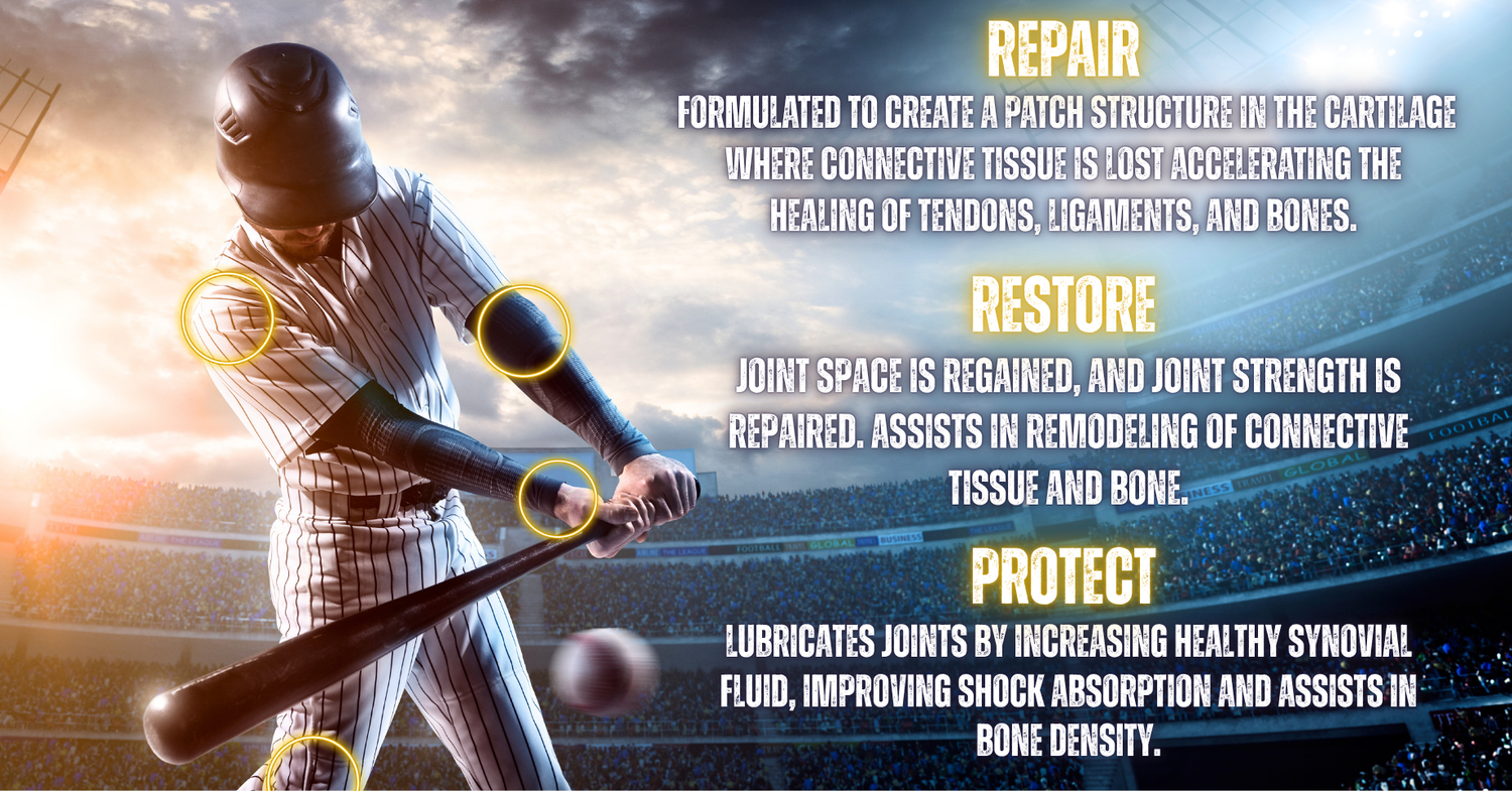 Tendon ligament supplement