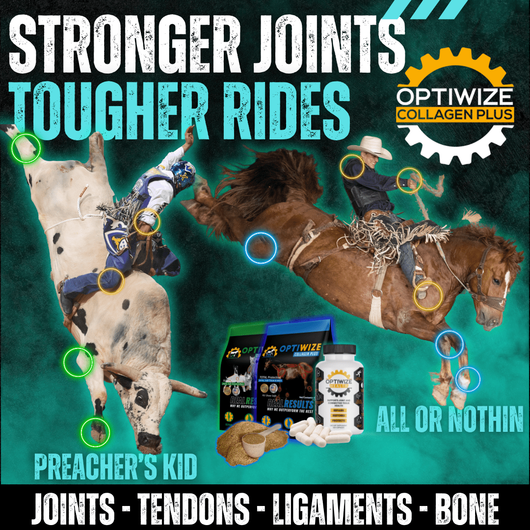 OptiWize equine collagen supplement for competition, supplements for stifle problems in horses, recovery support.