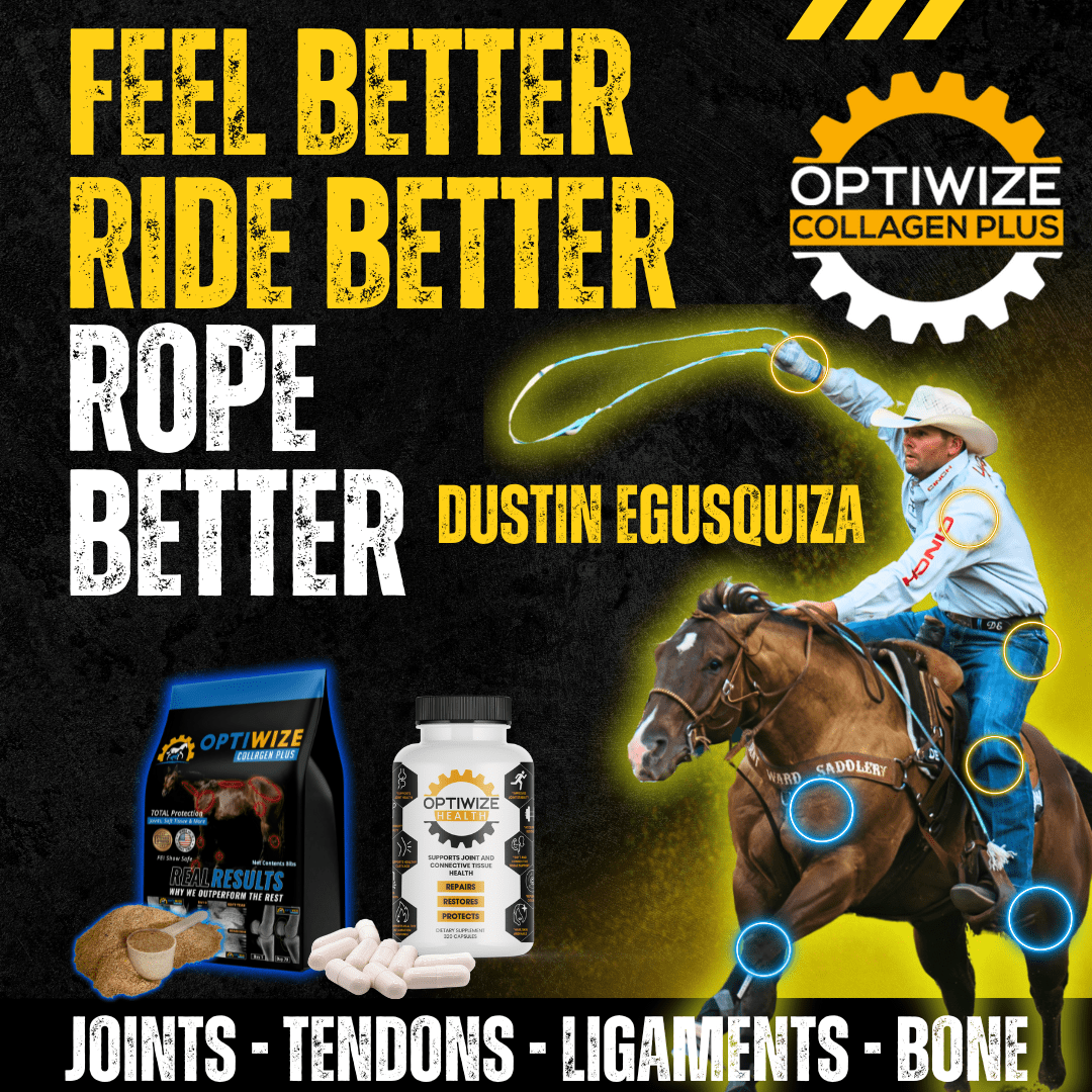OptiWize for performance horses, horse joint supplement with collagen and MSM to maintain stamina and soundness.