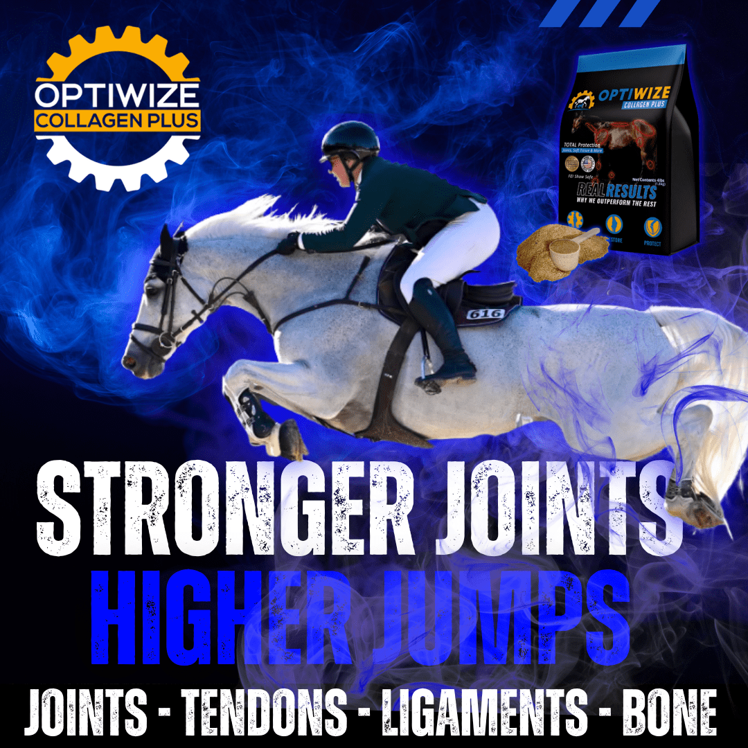 OptiWize top rated joint supplements for horses to supports tendons, ligaments, and bone strength