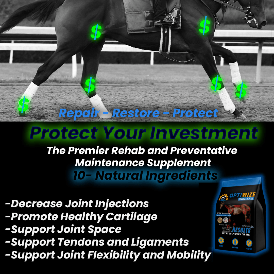 OptiWize 10-N-1 horse joint supplement with collagen and chondroitin for high performance and strength