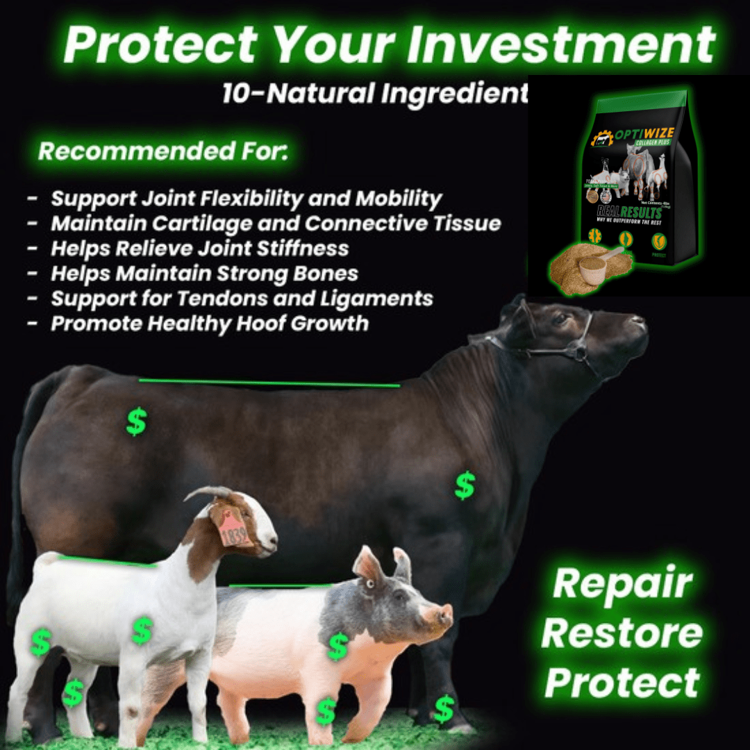OptiWize supplement for long-term joint protection in show goats, pigs, and cattle.