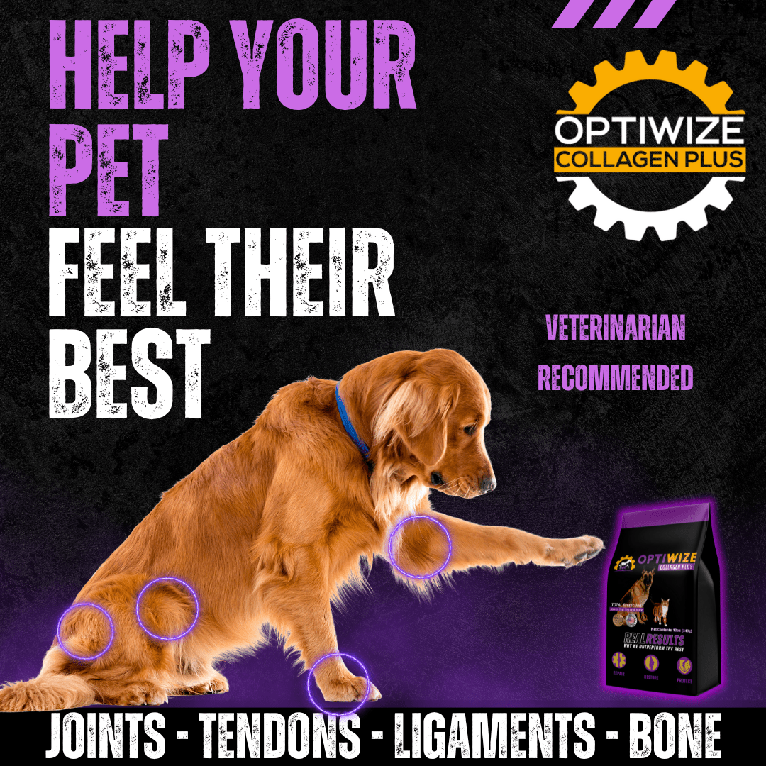 OptiWize 10-N-1 collagen supplement for senior dog and cat to support rehabilitation for wellness and enhancing mobility