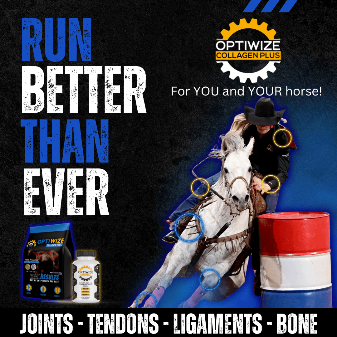 OptiWize collagen plus senior horse supplement for rehabilitation, recovery, and optimal condition.