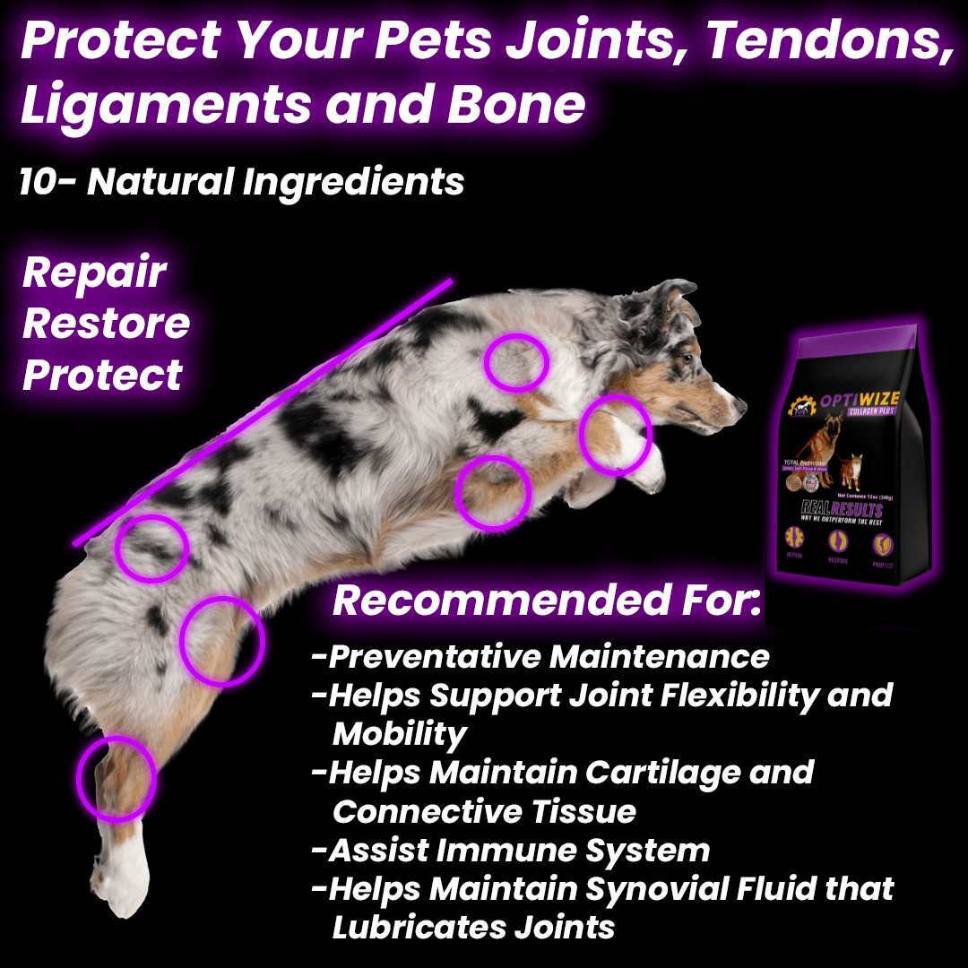OptiWize supplement for pet ligaments with hydrolyzed collagen, natural joint health supplement for dogs of all ages.