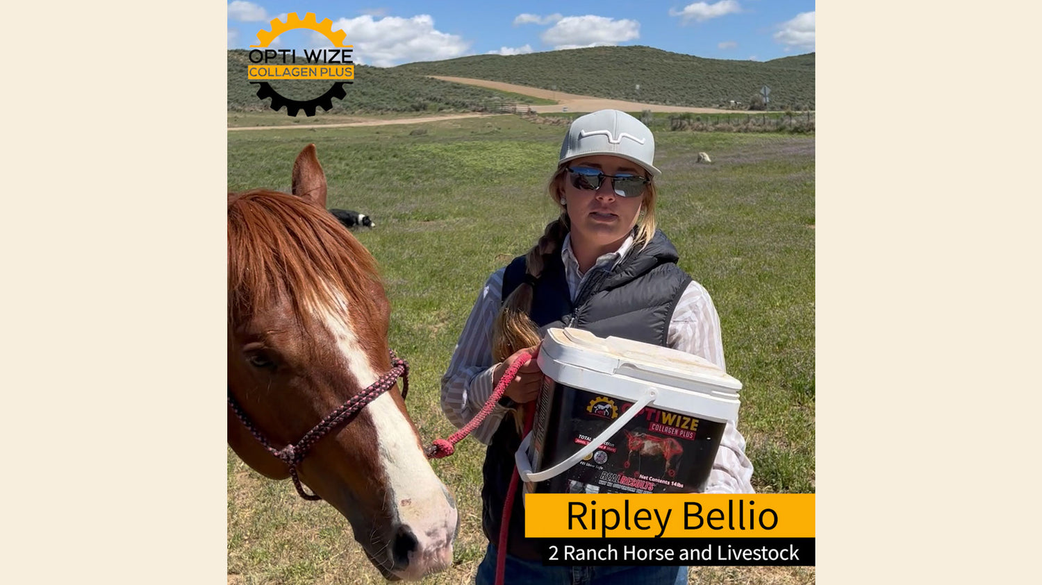 <p>Ripley shares why she trusts OptiWize as her go to equine joint supplement. OptiWize has helped rehab her soft tissue injuries and uses it for preventative maintenance for her horses joints, tendons, and ligaments.</p>