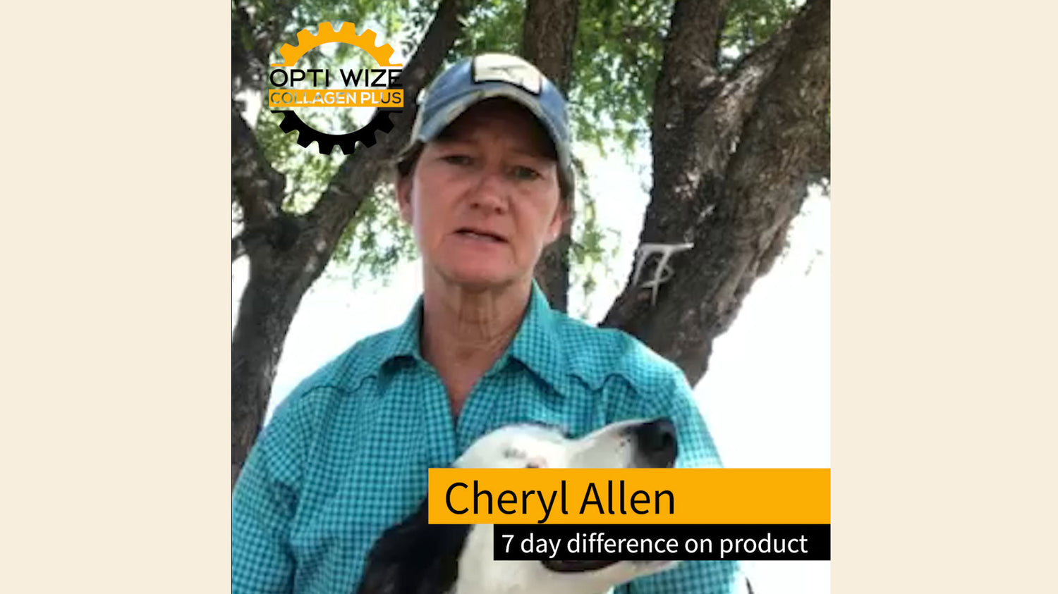 <p>Hear why Cheryl chose OptiWize as her go to dog arthritis supplement. Coccidioidomycosis can vary painful depending on whether your dog has a mild or severe infection. Arthritic flare ups and cartilage breakdown is the progression of the disease. Cheryl sees the astounding changes in her dog. Please have a listen to her story.</p>