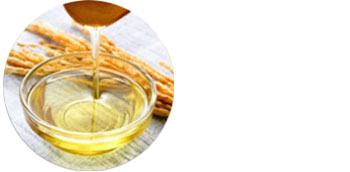 Rice Bran Oil