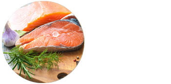 Green lipped mussel diagram