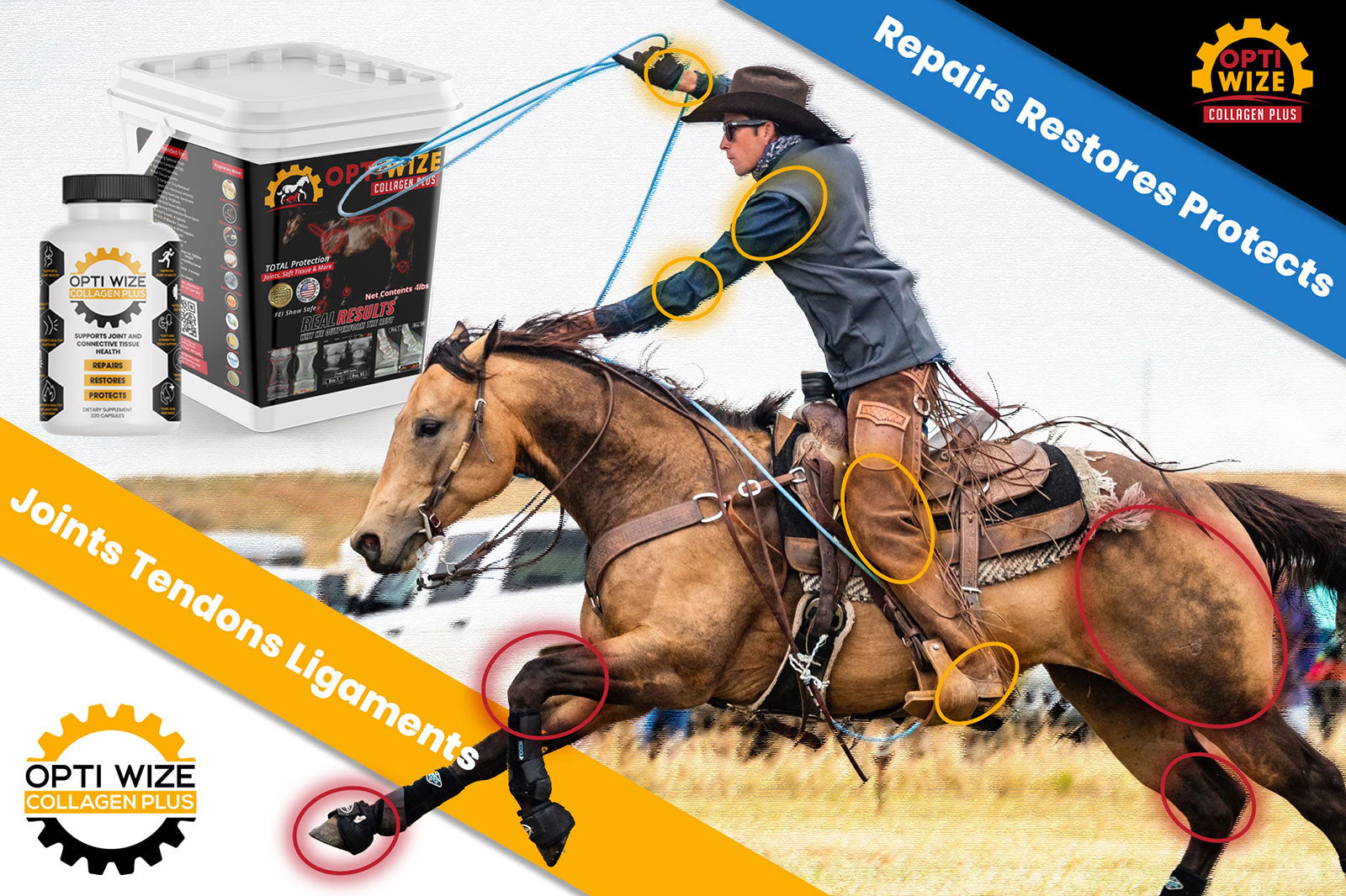 OptiWize Collagen Plus equine arthritis Supplement