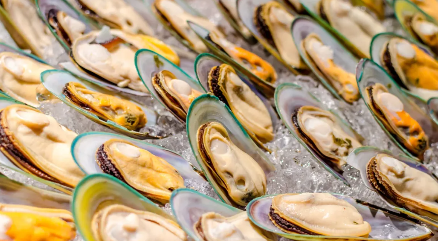 Green lipped mussel benefits and scientific facts for joint health, mobility, and overall wellness support