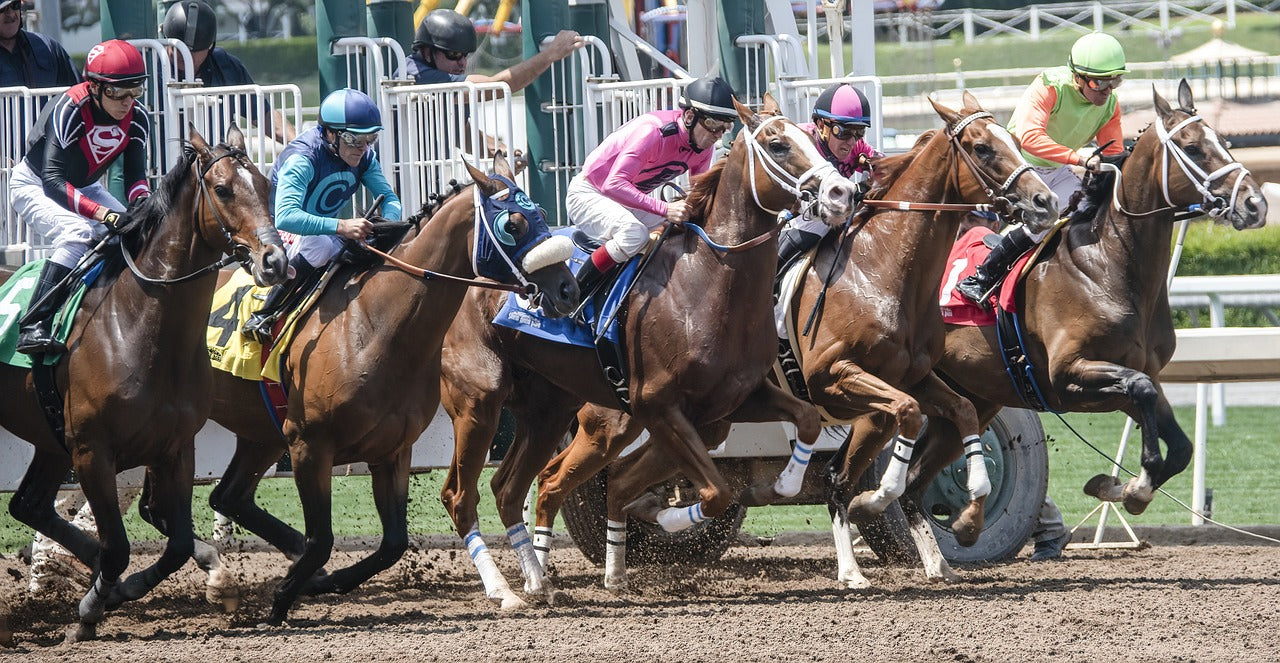 OCD in horses explained with signs, causes, and care options for osteochondrosis in equine health
