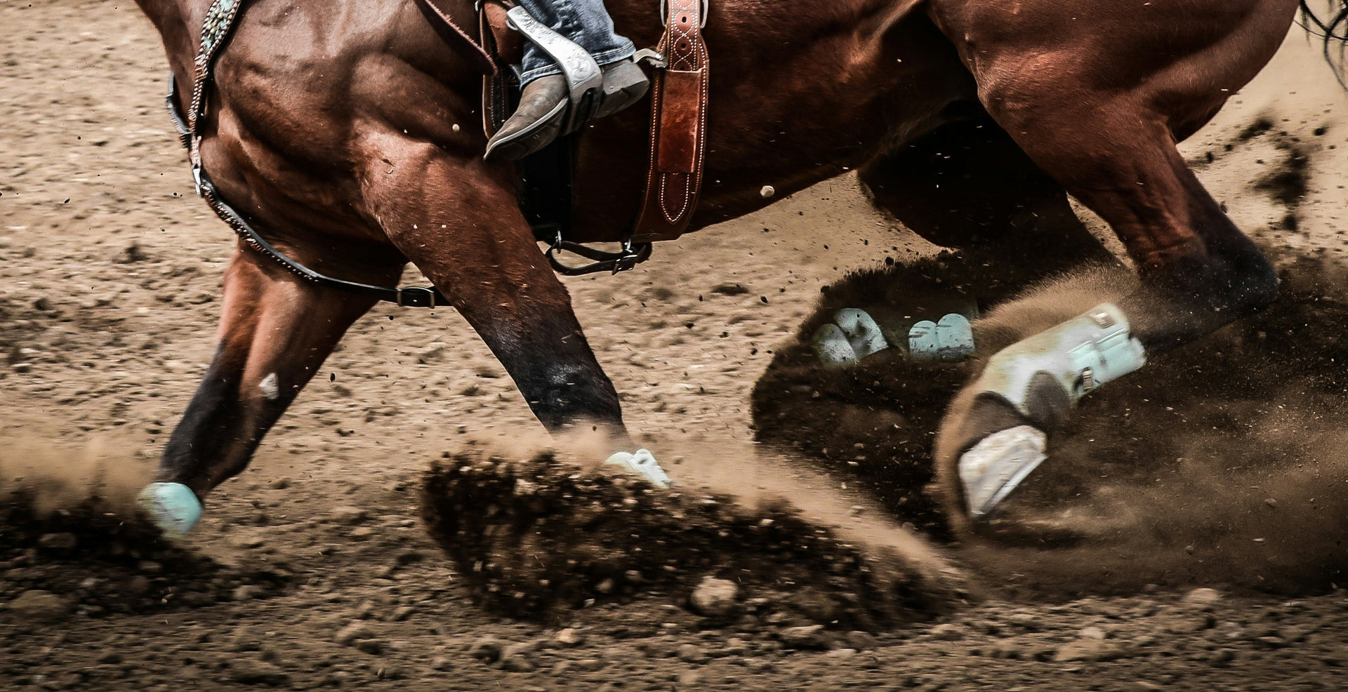 Soft tissue injury in horses explained with grades, signs of damage, and recovery management methods
