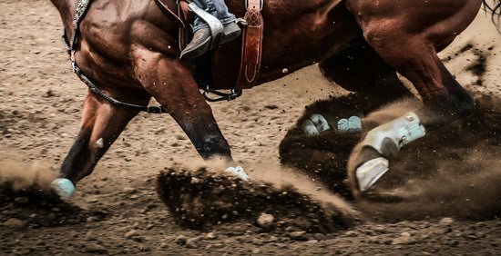 What Grade Soft Tissue Injury Does Your Horse Have?