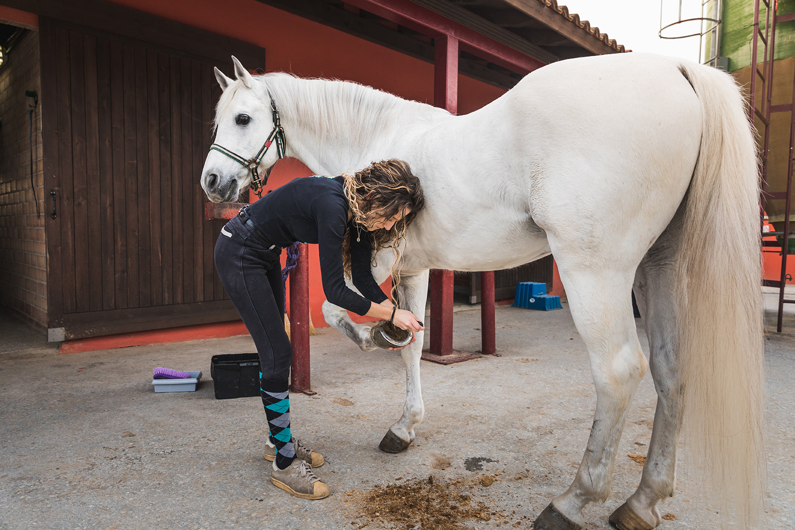 Returning Horses to Work: Why a Gradual Approach Matters