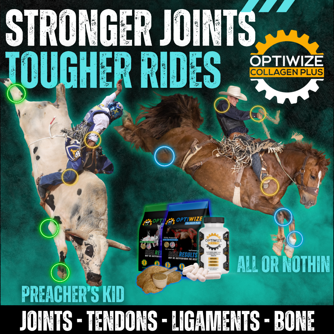 OptiWize Collagen +Plus Equine Joint Supplement