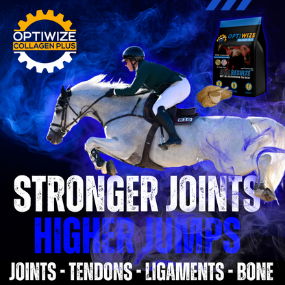 OptiWize Collagen +Plus Equine Joint Supplement