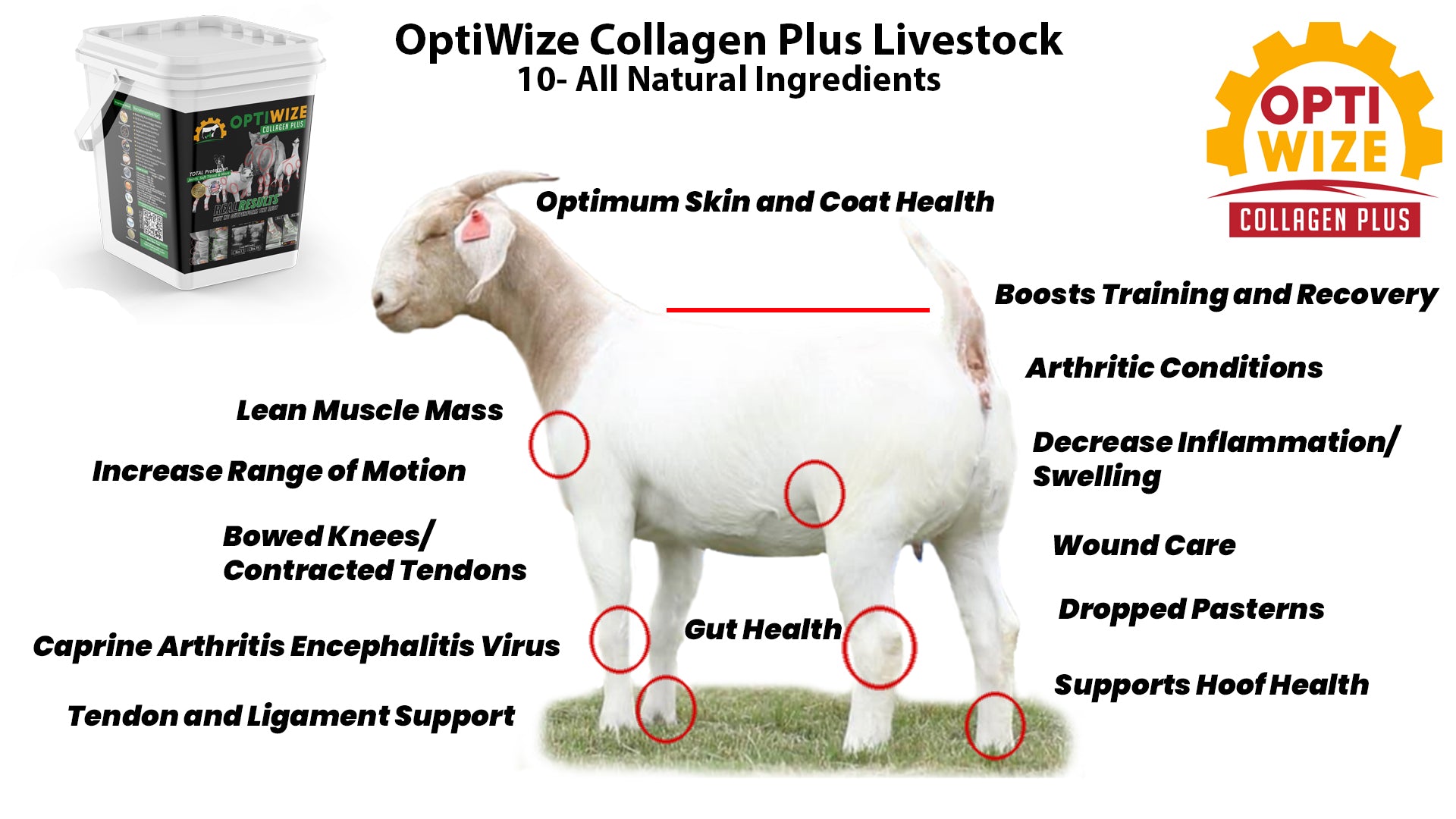 OptiWize Best livestock joint collagen supplement for bone, joint