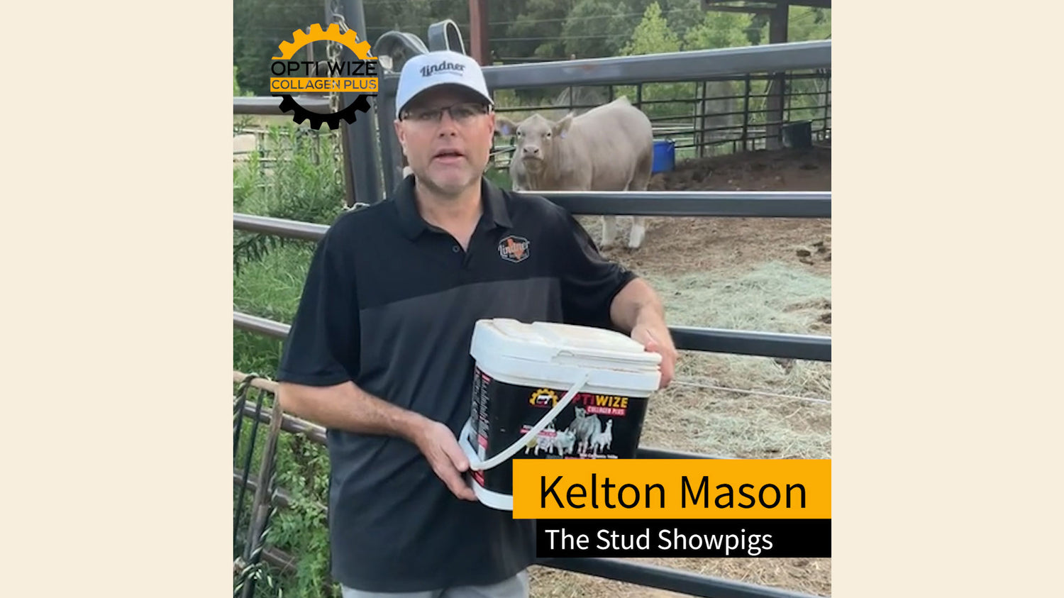 <p>Kelton Mason talks about show cattle and pigs with the use of OptiWize Collagen Plus. Kelton shares how OptiWize helped increase range of motion in his cattle as well as helped stop popping pasterns. OptiWize is his go to joint supplement for cattle and pigs.</p>