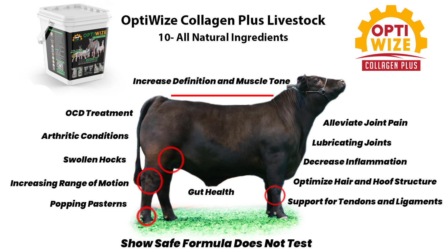 OptiWize Best livestock joint collagen supplement for bone, joint