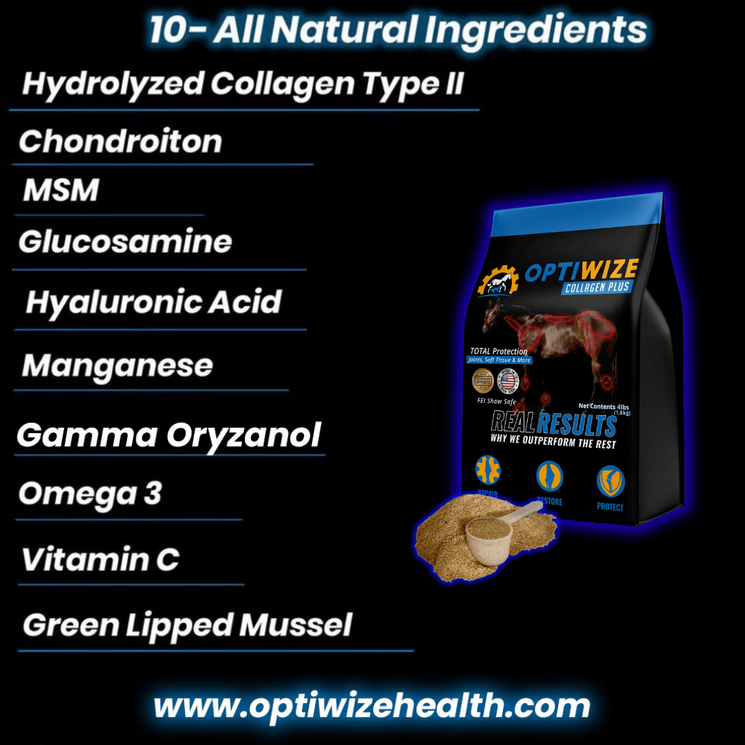 OptiWize Equine 10 all natural ingredients