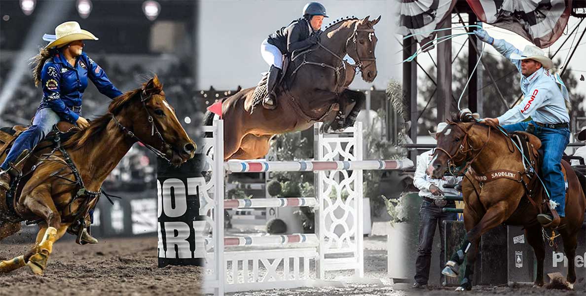 optiwize equine supplement