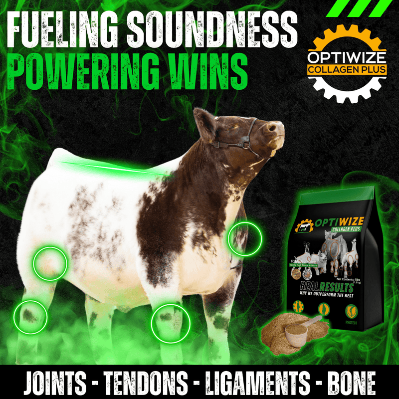 OptiWize collagen joint health supplement for ligaments, tendons in pigs, goats, cattle.