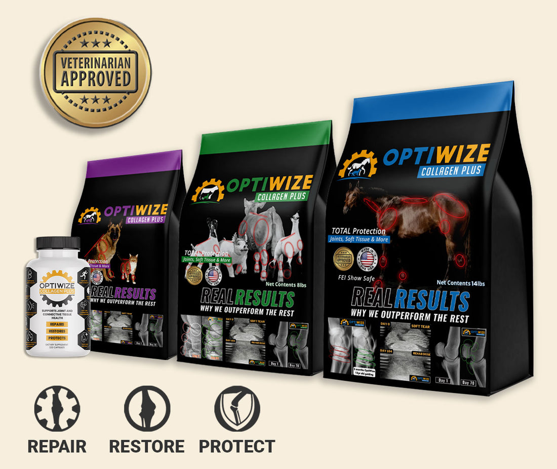 OptiWize Equine, Livestock, Pets and Human supplement