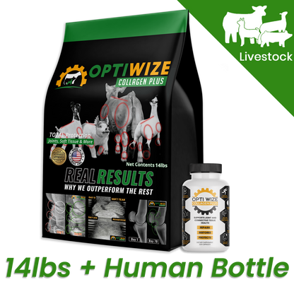 OptiWize Colágeno +Plus Suplemento para articulaciones de ganado