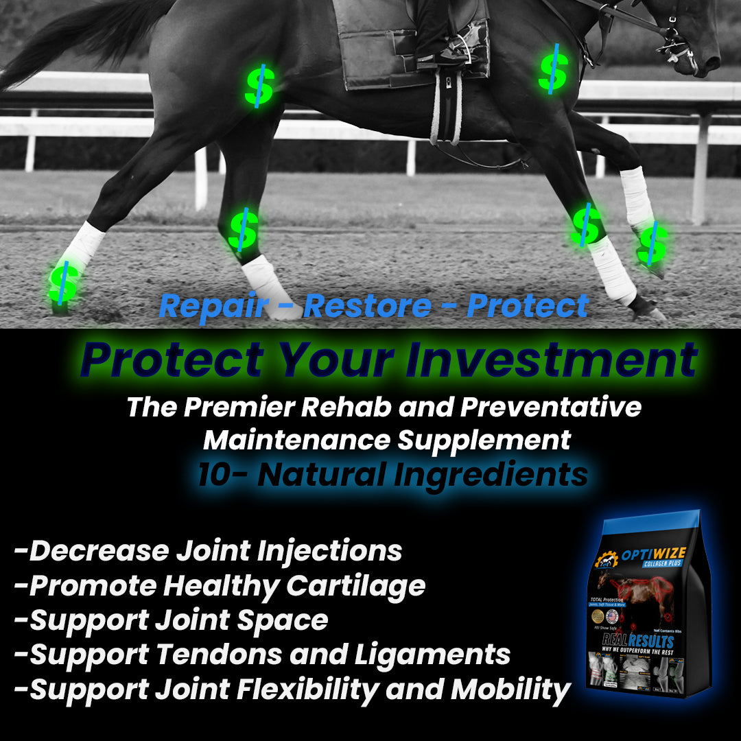 OptiWize Collagen +Plus Equine Joint Supplement