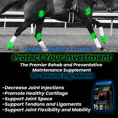 OptiWize Collagen +Plus Equine Joint Supplement