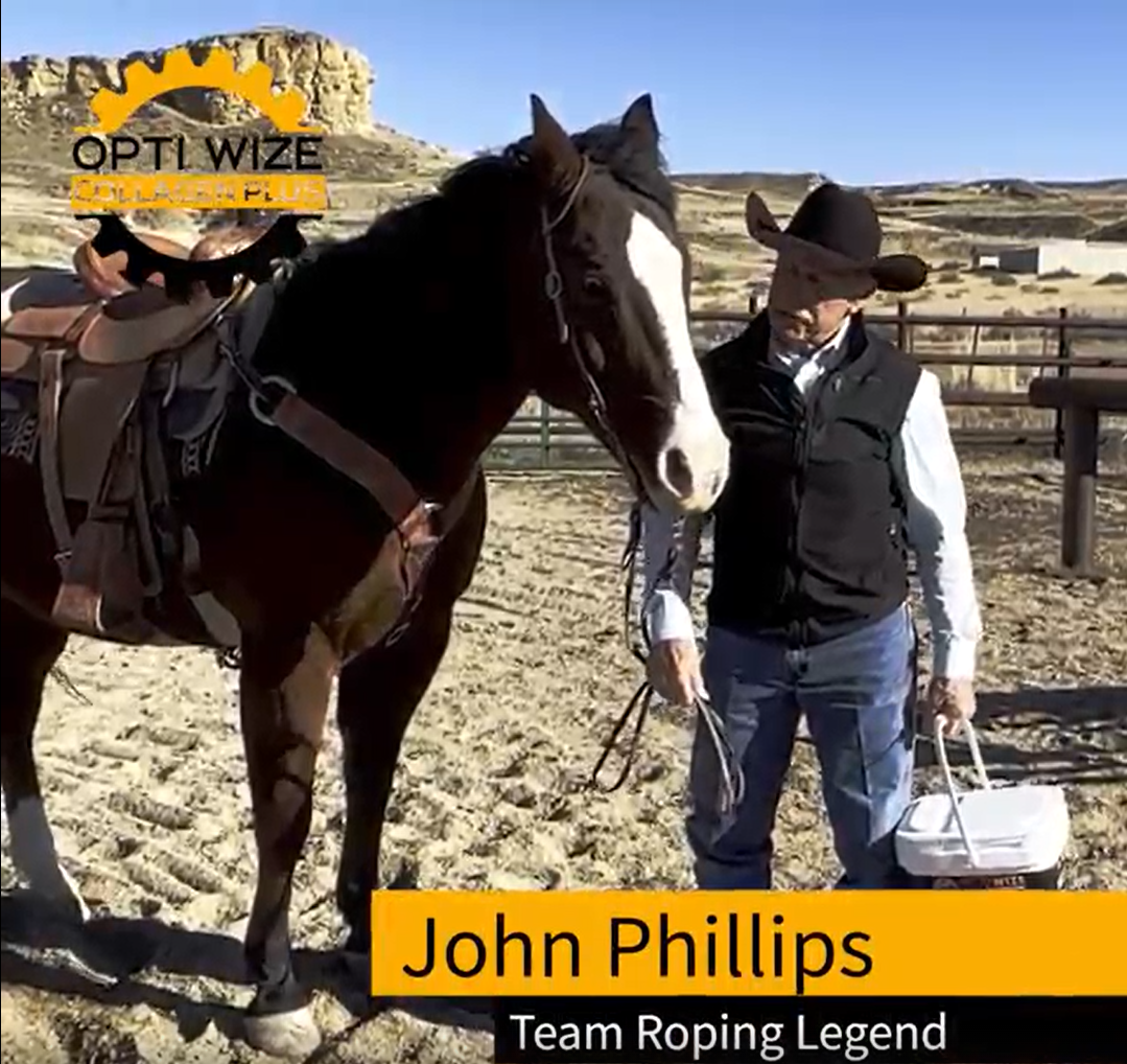Load video: Team roper, arthritis in horses, equine joint supplement, horse joint support, roping horse, supplement for older horses