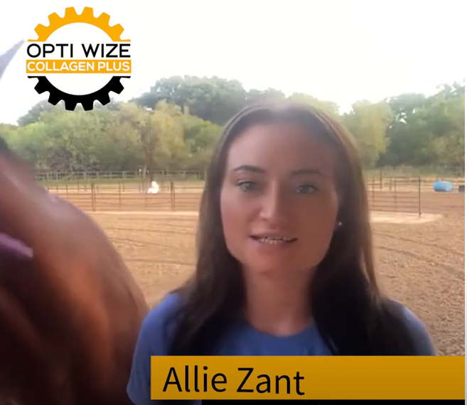 Load video: equine joint injections, suspensory injury in horses, suspensory ligament injury, bone spurs, bone spurs in horses, equine bone spur, equine suspensory injury, soft tissue injury in horses, equine soft tissue tear, barrel racer, barrel horse