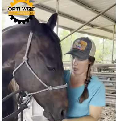 Load video: Gluteal tear in horses, treatment for gluteal tear in horse, horse muscle supplement, horse cartilage supplement, tendon and ligament supplement for horses