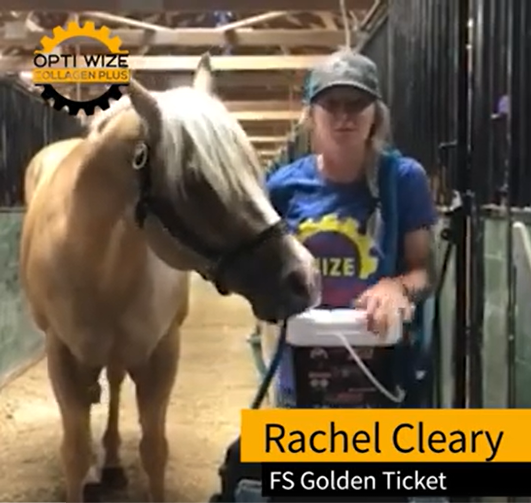 Load video: hock injections, hock arthritis, steroid injections horses, equine joint supplement, futurity horse