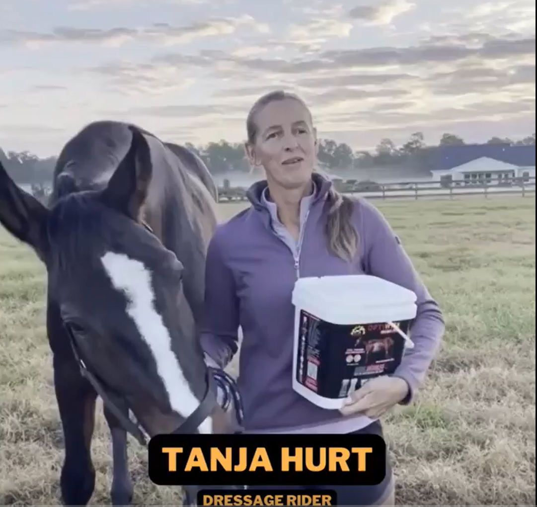 Load video: Suspensory ligament injury, soft tissue injury in horses, rehab supplement for horses, tendon and ligament supplement for horses, soft tissue injury supplement