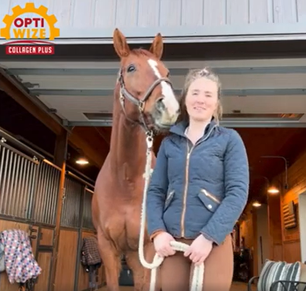 Load video: Osteoarthritis in horses, arthritis supplement for horses, healthy hoof growth horses, hoof supplement, horse joint supplement, arthritis in horses