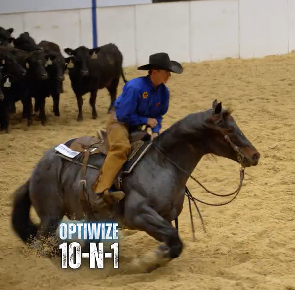 Load video: {"default" => nil}