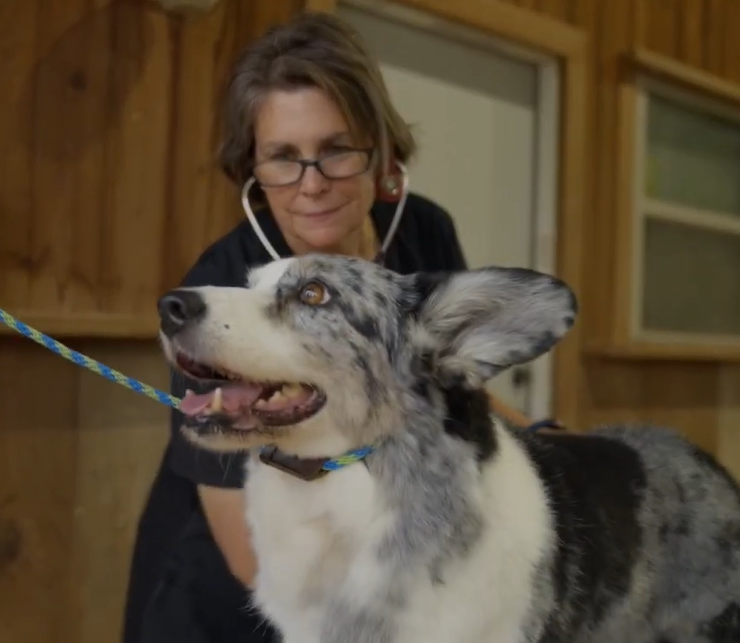 Load video: {"default" => nil}