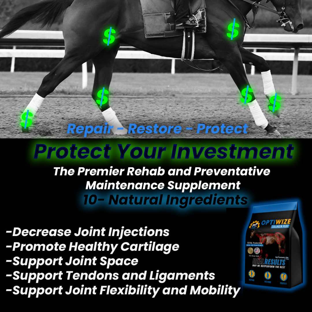 OptiWize Collagen +Plus Equine Joint Supplement