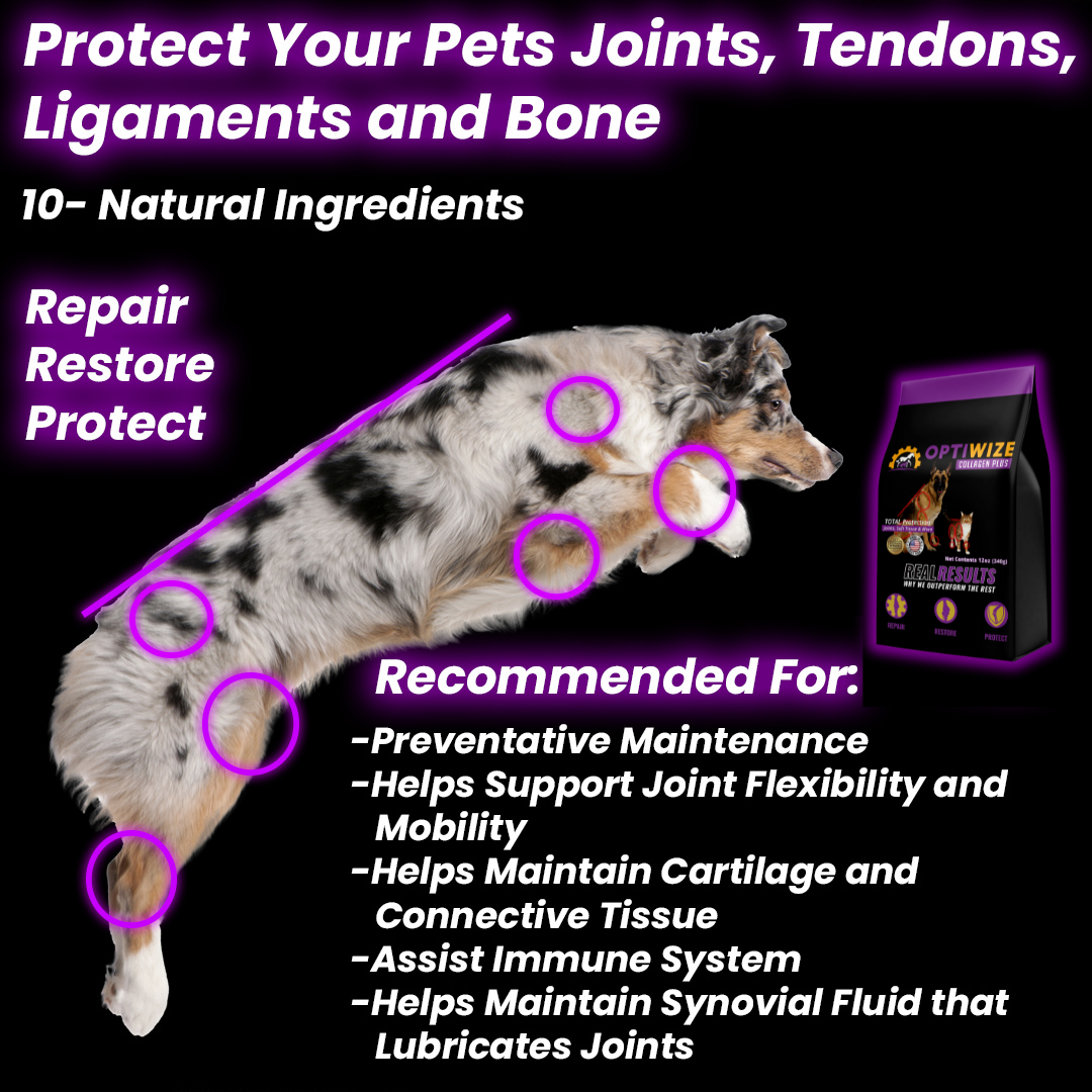 OptiWize Collagen +Plus Pet Formula